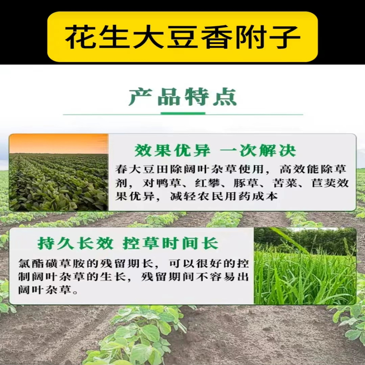氯酯磺草胺WDG1.jpg
