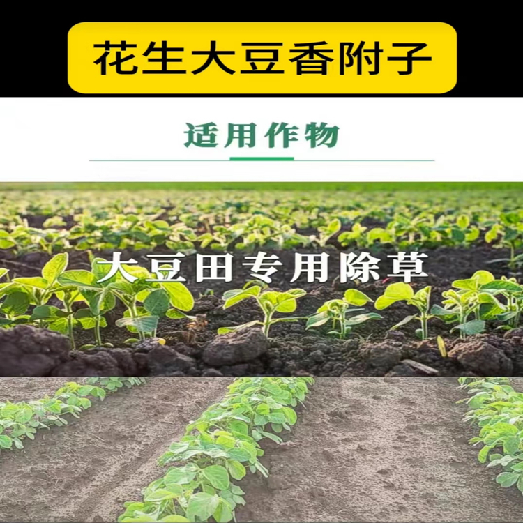 氯酯磺草胺WDG2.jpg