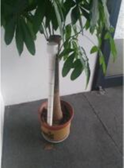 QQ截图20250421100817.jpg