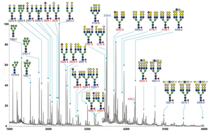 糖组学分析服务 糖组学分析服务