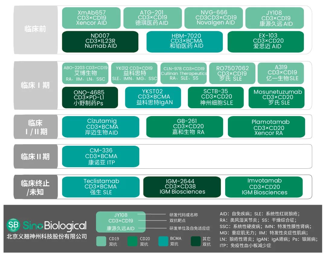 部分CD3双抗在自免疾病的研究进展