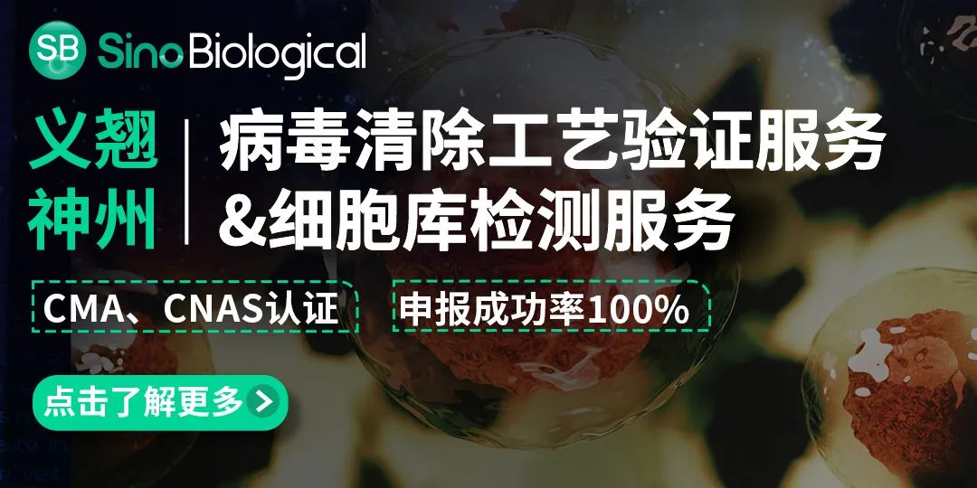 病毒清除工艺验证服务&细胞库检测服务 病毒清除工艺验证服务&细胞库检测服务