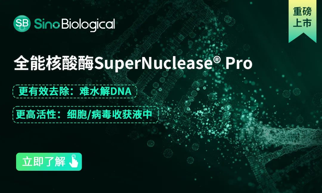全能核酸酶 全能核酸酶