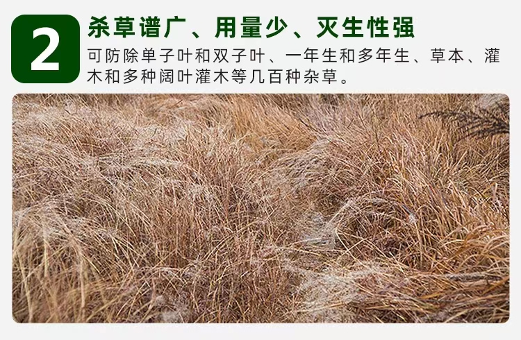 甲嘧磺隆除草效果1.jpg