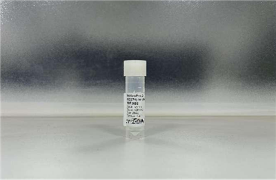 21.JPG.png 21.JPG.png