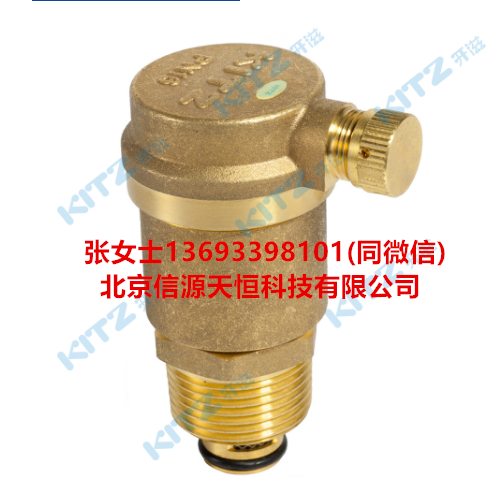 BSAV黄铜丝扣自动排气阀-PN16BSAV_公司+电话.png