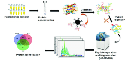 尿液蛋白质组学