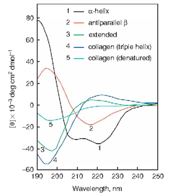 20221219-1634-蛋白质圆二色谱分析.png (337×384) 20221219-1634-蛋白质圆二色谱分析.png (337×384)